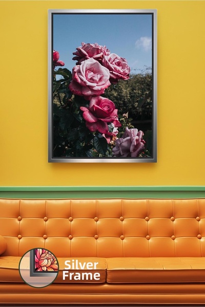 KOSS Dijital Buchet de trandafiri roz Fotografie cu flori naturale Sedință în...