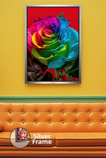 KOSS Dijital Detaliu de flori de trandafir de culoare curcubeu Tema de culori...