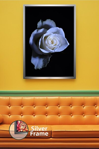 KOSS Dijital Trandafir alb pe fundal negru, o singură floare, decor modern pe...