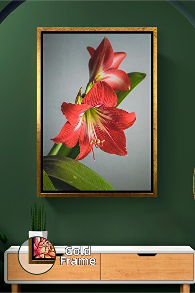 KOSS Dijital Клозъп на червено амарилисово цвете Модерна декорация за дома Хо...