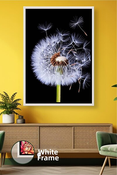 KOSS Dijital Близък план на природа - снимка на цвете от глухарче на черен фо...