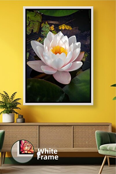 KOSS Dijital Pictură decorativă cu flori de lotus de nufăr alb, pictură pe pâ...