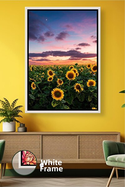 KOSS Dijital Pictură murală cu câmpul de floarea-soarelui la apus de soare, p...