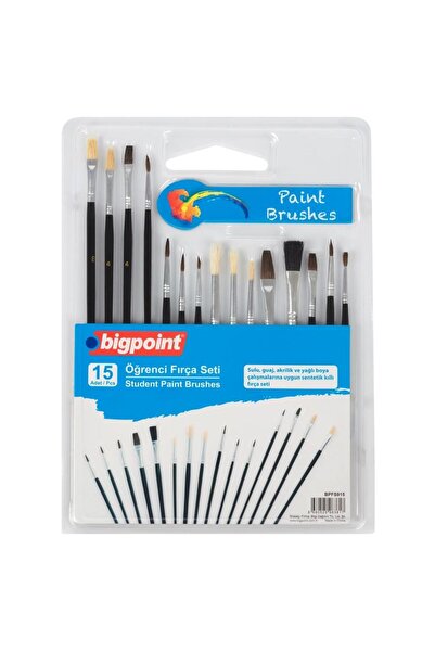 Bigpoint Student Brush Set 15 Pcs Blister