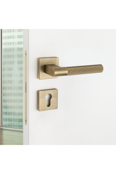 System Leo-l Rozetli Kapı Kolu Antik Rengi Yale (DIŞ KAPI)