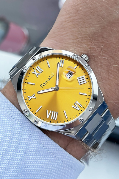 Ferrucci Men's Wristwatch 3 Atm Water Resistant Silver Color Steel Band + Fre...