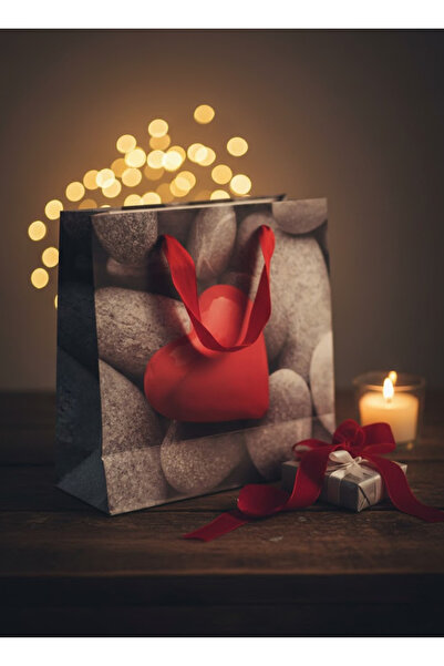 Generic اكياس هدايا أنيقة من الورق المقوى متعددة الألوان 4 قطع