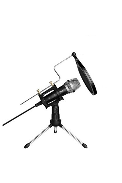 Ruan Microfon Profesional de inregistrare vocala si Karaoke pentru Studio WG ...