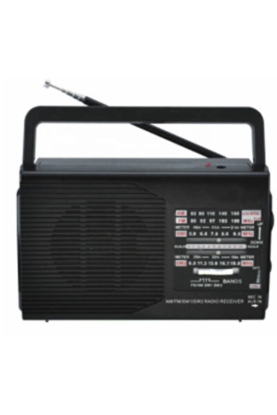 OEM Radio portabil FP-1371