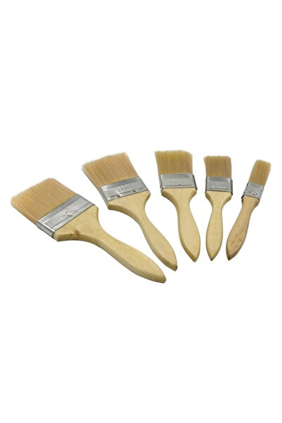 OEM Set 5 pensule vopsit marimi diferite