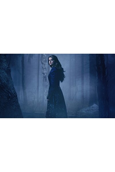 OEM Poster The Witcher Yennefer Of Vengerberg , 61x90cm, Zumzeria