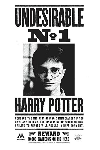 OEM Poster Harry Potter Undesirable N1, 61x90cm, Zumzeria