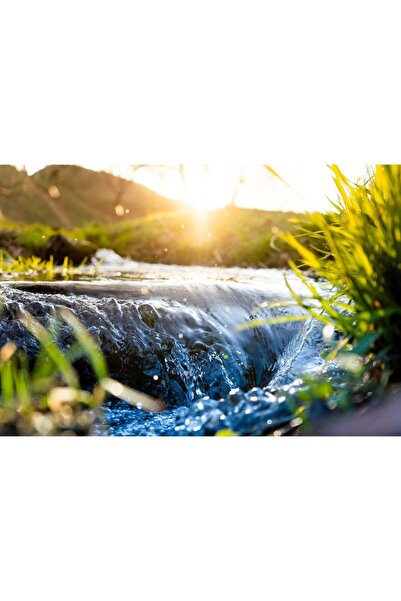 Zumzeria Tablou Canvas Stream Of Water During Spring, 80x50cm, tabloucanvas443,