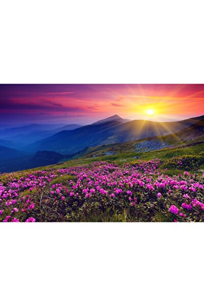 Zumzeria Таблу платно Долина на цветята под залез, 80x50см, tabloucanvas16