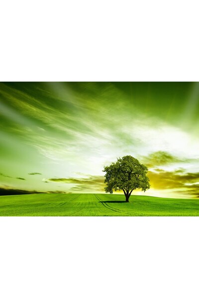 Zumzeria Tablou Canvas Bright Green Tree Landscape, 80x50cm, tabloucanvas13,