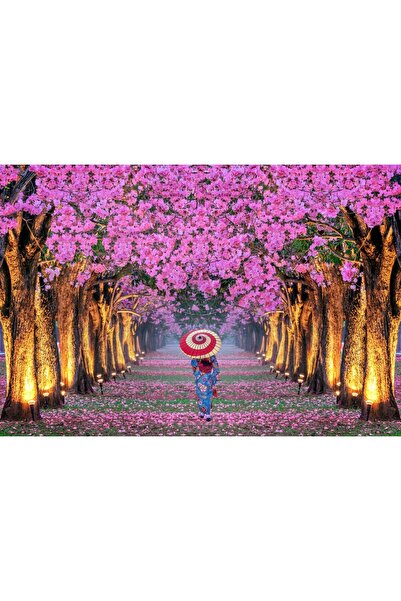 Zumzeria Tablou Canvas Splendid Cherry Blossom Trees Alley, 80x50cm, tablouca...