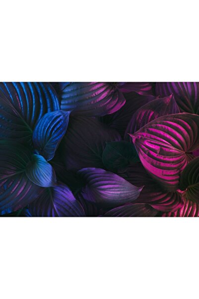 Zumzeria Tablou Canvas Culori Vibrante de Frunze de Palmier, 80x50cm, tablouc...