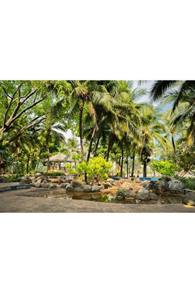 Zumzeria Tablou Canvas Palm Trees Park, 80x50cm, tabloucanvas1168,