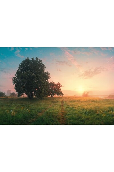 Zumzeria Canvas Painting Spring Panoramic Landscape, 80x50cm, canvaspainting401,