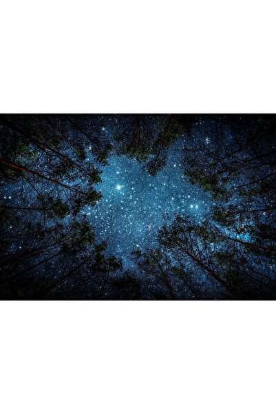 Zumzeria Tablou Canvas Copaci și Cer Înstelat, 80x50cm, tabloucanvas129,
