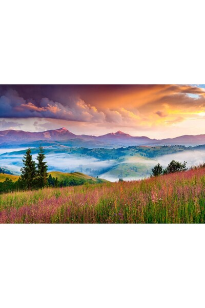 Zumzeria Pictură pe pânză Pajiști alpine înflorite, 80x50cm, tableaucanvas146,