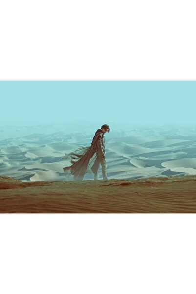 OEM Poster Dune, 61x90cm, poster2561, Zumzeria