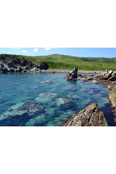 Zumzeria Tablou Canvas Rocks Under Water A Summer Picture, 80x50cm, tabloucan...