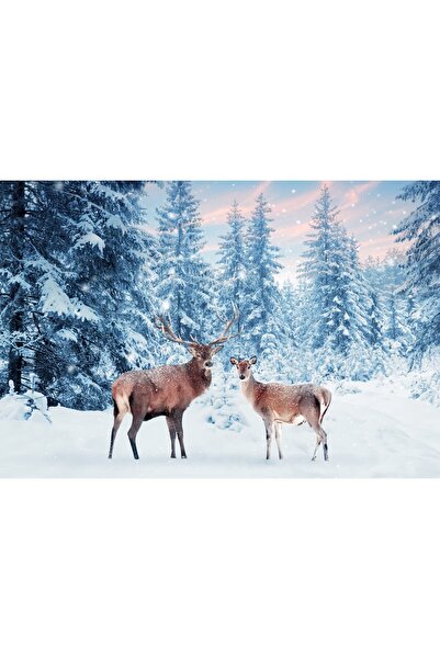 Zumzeria Tablou Canvas Farytale Snowy Pine Forest Scene, 80x50cm, tabloucanva...