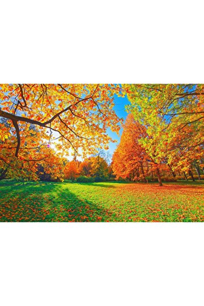 Zumzeria Tablou Canvas Spectacular Park In Autumn Beautiful Colors, 80x50cm, ...