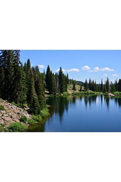 Zumzeria Tablou Canvas Pădure de pini uimitoare și lac de munte uimitor, 80x5...