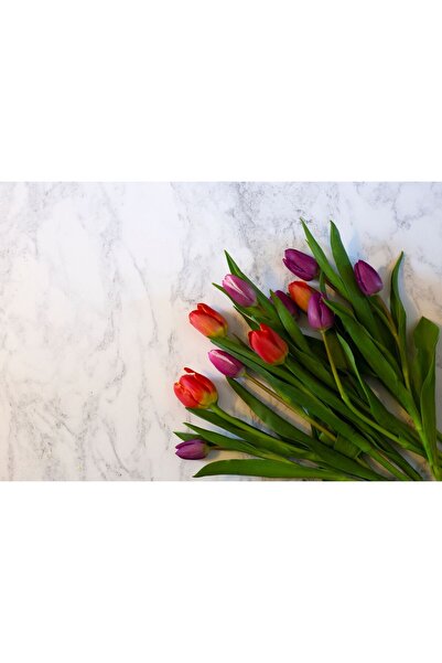 Zumzeria Tablou Canvas Wonderful Tulips Bouquet, 80x50cm, tabloucanvas784,