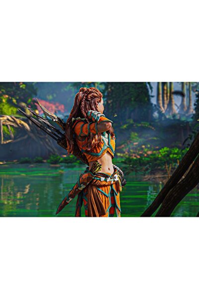 OEM Poster Horizon Forbidden West PS5, 61x90cm, poster2621, Zumzeria