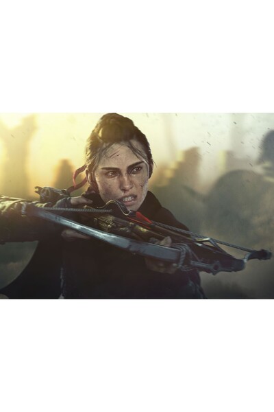 OEM Poster Requiem din povestea ciumei, 61x90cm, poster2297, Zumzeria