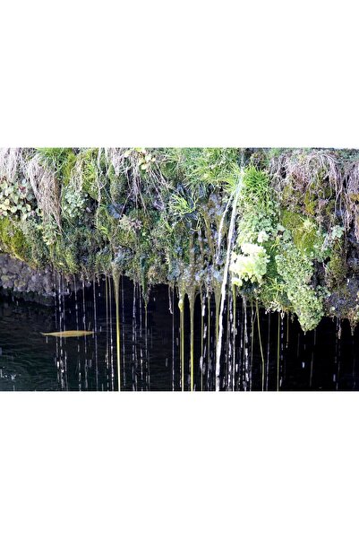 Zumzeria Tablou pe pânză cu apă care picură peste marginea unor stânci acoper...