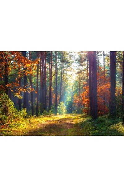 Zumzeria Платно Tablou „Разходка през есенните цветове“, 80x50 см, tabuloucan...