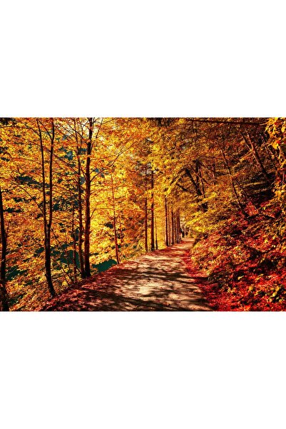 Zumzeria Tablou Canvas Romantic Alley In Wonderful Autumn Landscape, 80x50cm,...