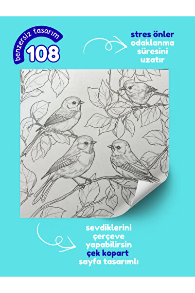 Pembe Yayınevi Mandala Boyama Kitabı - Yetişkinler İçin Mandala Boyama Kitabı - Efsane Kitap Seti