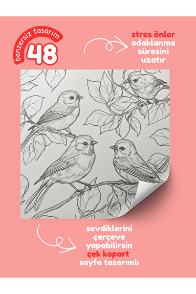 Pembe Yayınevi Mandala Boyama Kitabı - Yetişkinler İçin Mandala Boyama Kitabı - Umut Kitap Seti