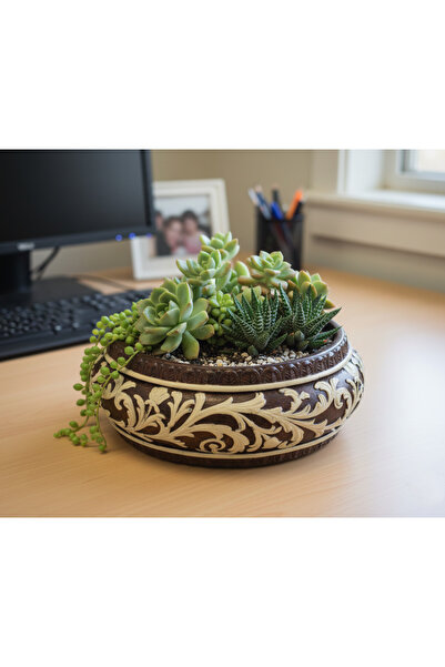Gold Garden BETON SAKSI sukulent bonzai teraryum arajman dekoratif çiçek saksısı