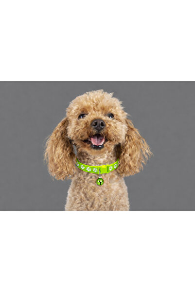 PAWNEST Neon Green Paw Patterned Small Breed Dog Collar, Adjustable, with Bell