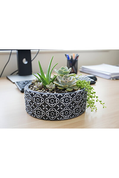 Gold Garden Beton saksı sukulent bonzai teraryum arajman çiçek Saksısı 18x7cm...