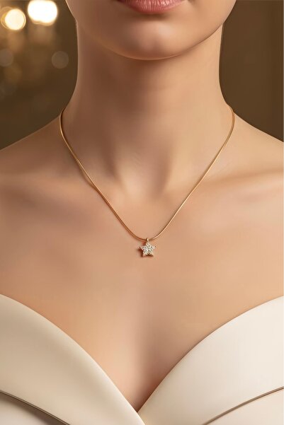 acc swen Stoned Star Necklace, Steel Never-Taken-Off Necklace, Gift