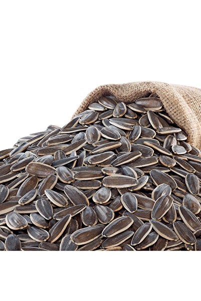 Emsal Tuzsuz Kavrulmuş Siyah Ayçekirdek 500 G