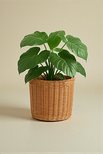 Joujou Doğal Rattan Saksılık – 25 cm Çap / 25 cm Yükseklik | Hasır Dekoratif ...