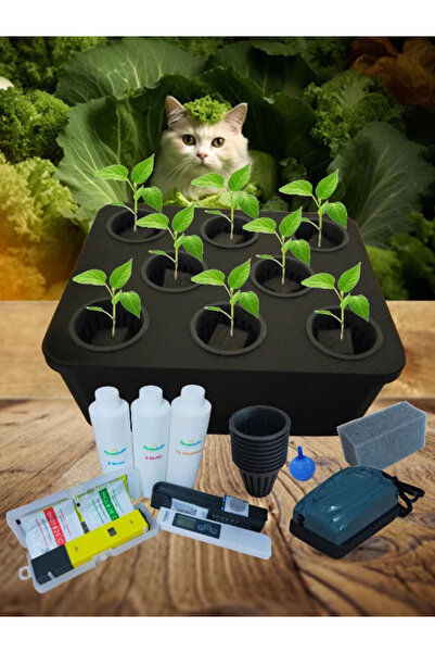 TarımSuda Topraksız Tarım Tam Set Siyah Hidroponik Set Suda Tarım Hobi Seti