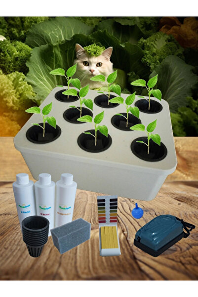 TarımSuda Topraksız Tarım Mini Set Beyaz Hidroponik Set Suda Tarım Hobi Seti