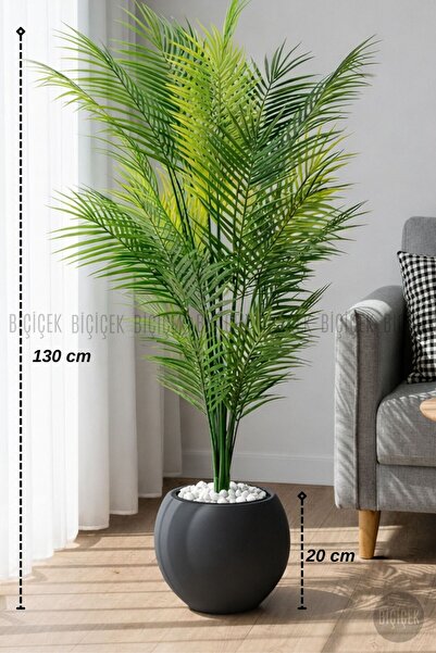 BİÇİÇEK AREKA AĞACI 24 YAPRAKLI 130 CM KÜRE SAKSIDA