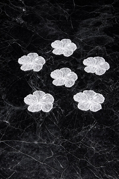 Caka home 6 قطع من مفارش الأكواب المصنوعة من قماش الجبريل المزخرف بالزهور