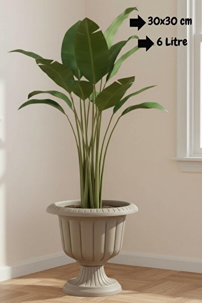 Bliss Dekoratif Ayaklı Nergiz Saksı Plastik Çiçek Bahçe Ve Salon Saksısı