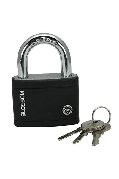 Strend Pro Lacat BLOSSOM, culoare, 63 mm,